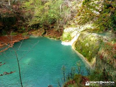 Parques Naturales Urbasa-Andía y Aralar - Nacedero del Urederra; trekking madrid; grupos de senderi